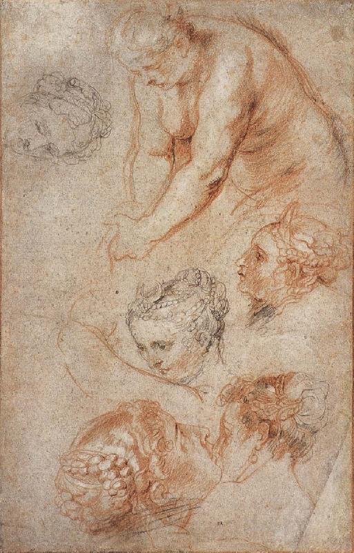 Peter Paul Rubens Woman sketch Norge oil painting art